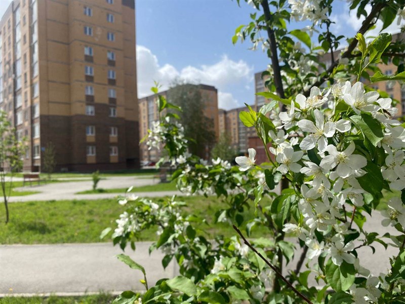 ЖК Дивногорский, фото 39